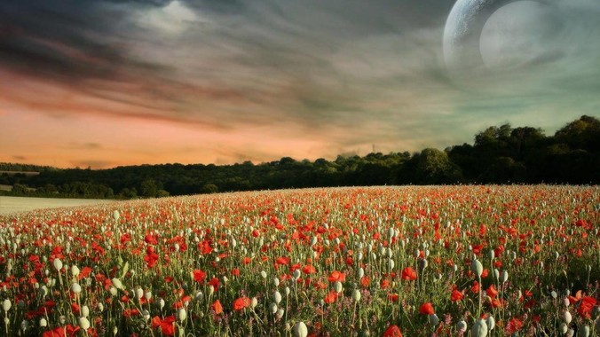 IntelliJ IDEA 中有什么让你相见恨晚的技巧？